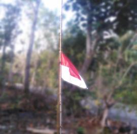 Hari ini Instansi Pemerintah Dan Warga Kibarkan Bendera Merah Putih Setengah Tiang 